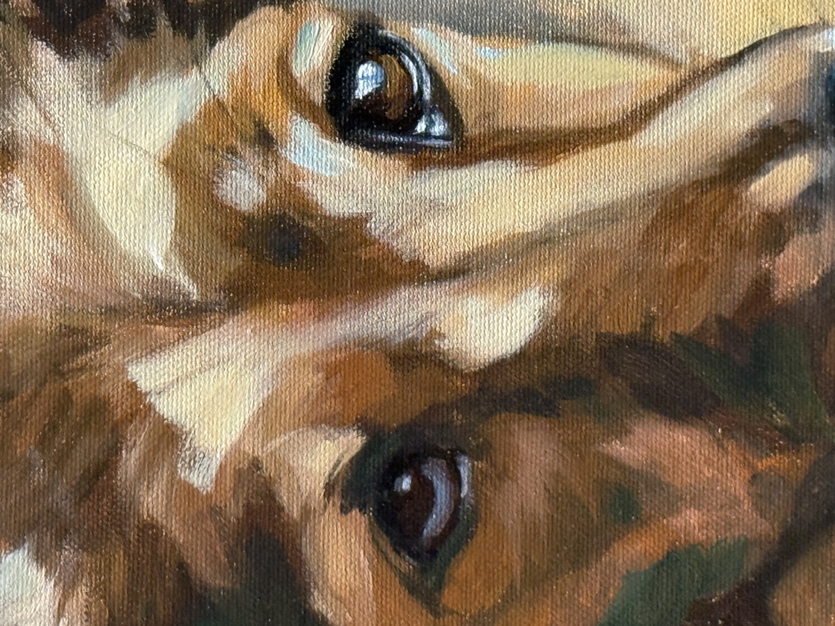 Hundeportrait von Ellen Hermes
