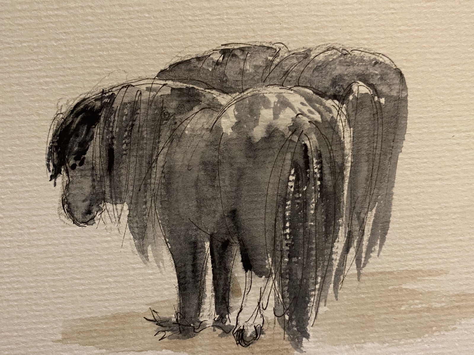 Zwei Ponys, Skizze in Tusche und Aquarell von Ellen Hermes